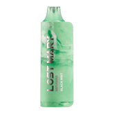 lost mary black mint
